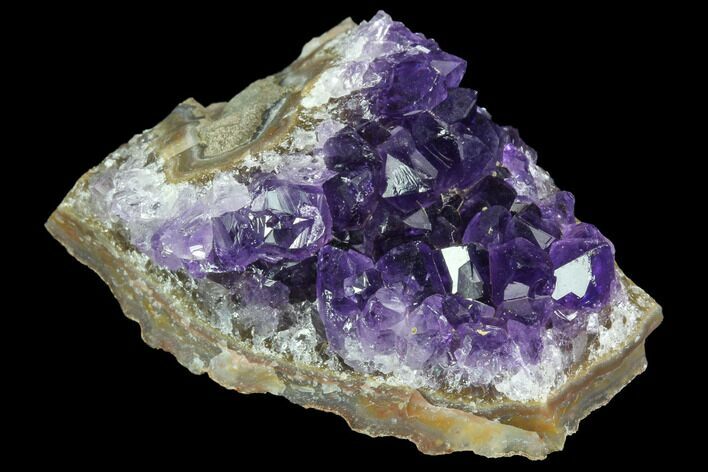 Dark Purple Amethyst Cluster - Top Quality Color #90163
